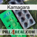 Kamagara new04